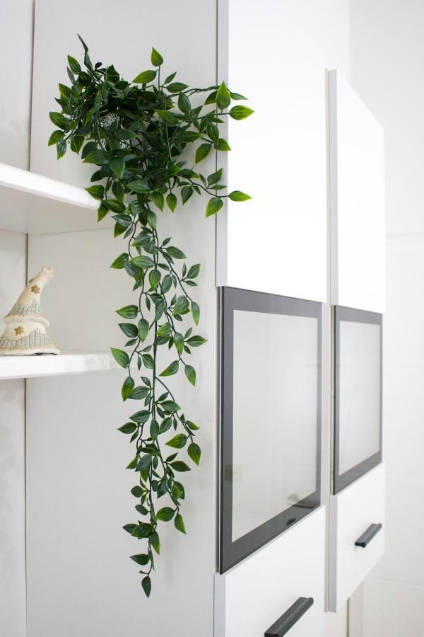 White Orchid Pula Apartment Exterior photo